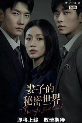 商战风云 封面图